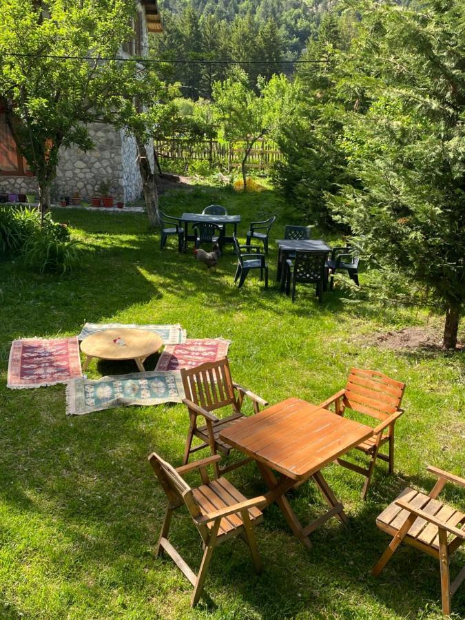 Guesthouse Demushi Valbone Exteriér fotografie